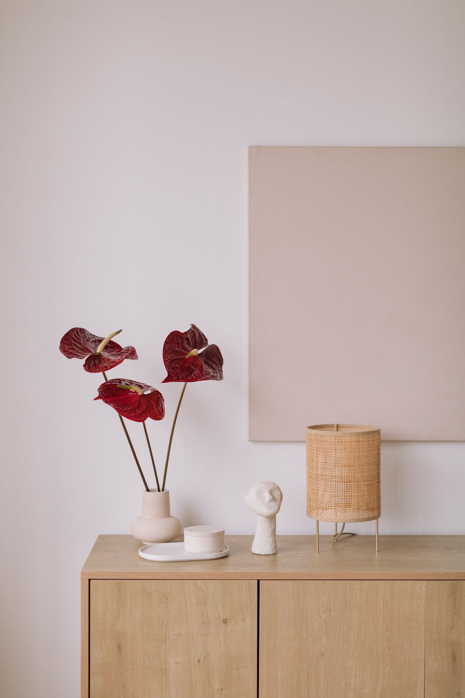 Best Good Luck Plants for Attract Money Health and Positive Vibes at Home. From the lucky bamboo to the money tree and...