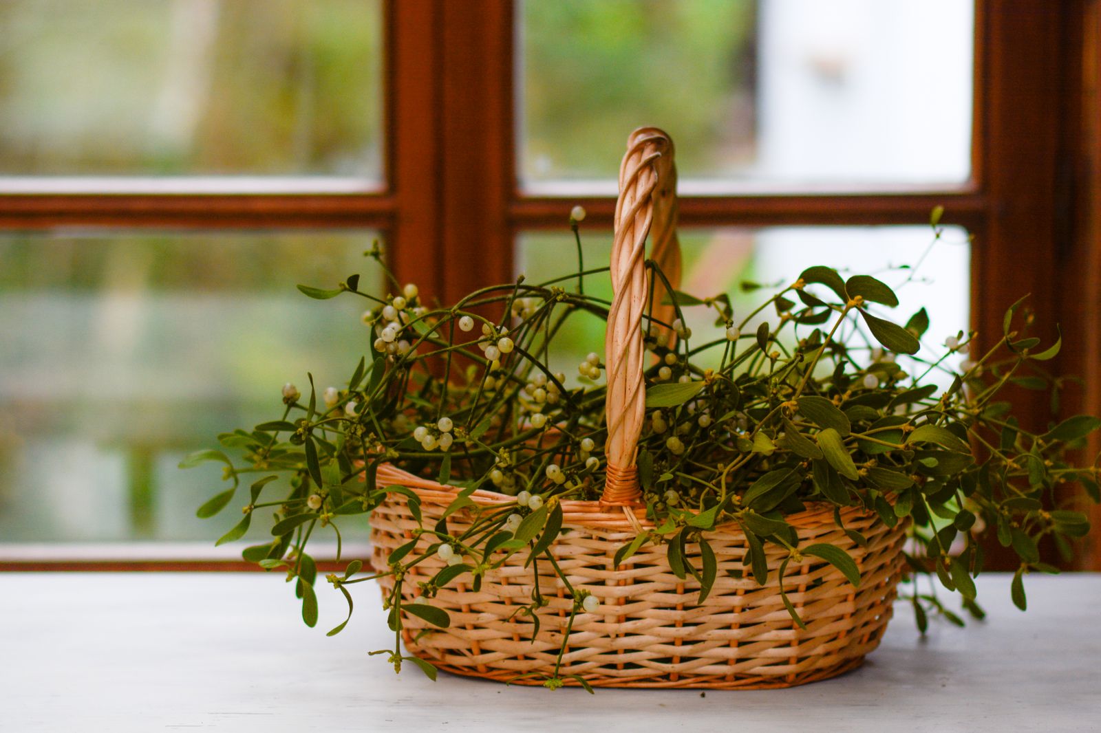Mistletoe Is Not Romantic It Is an Energy Parasite. 16 Unlucky Plants To Remove From Your Home Immediately and 5...