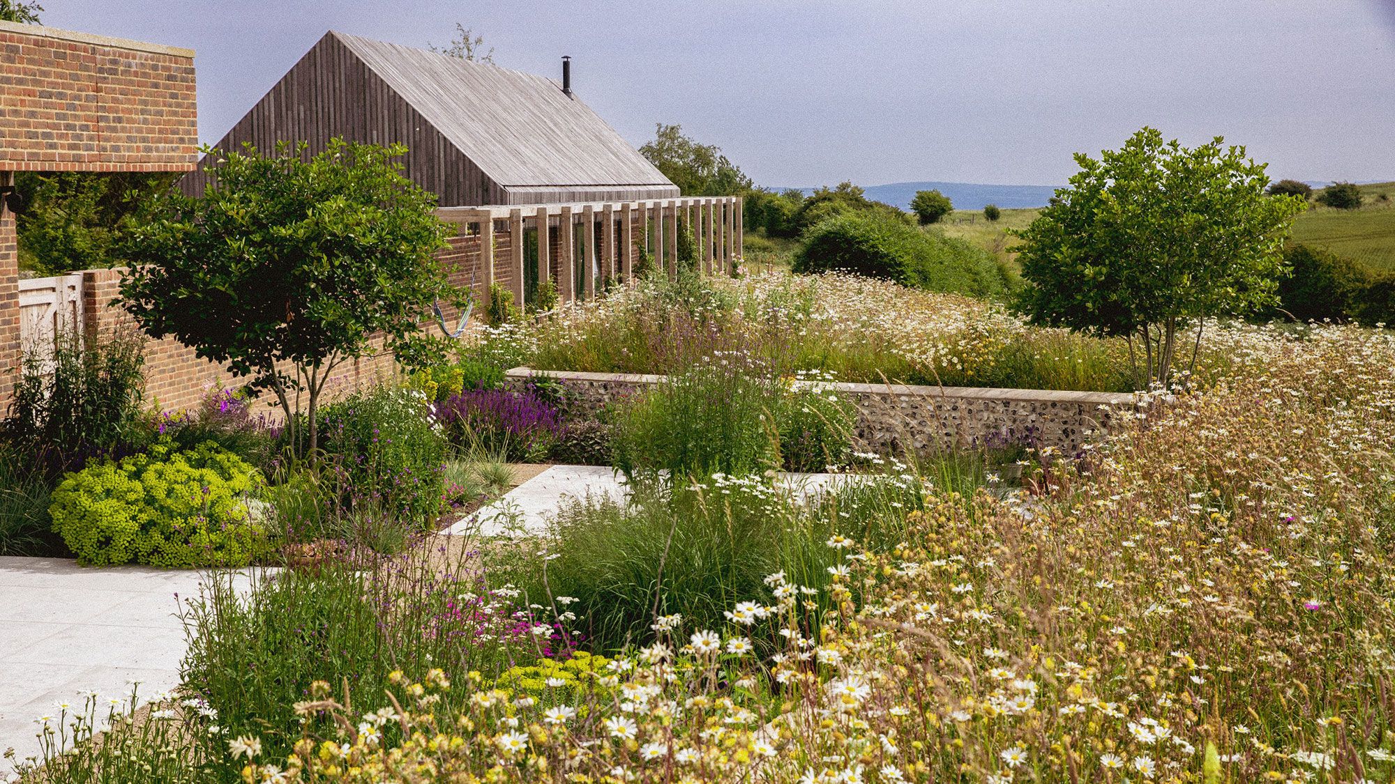 Image may contain: Grass, Plant, Garden, Nature, Outdoors, Architecture, Building, Cottage, House, Housing, Herbal, and Herbs