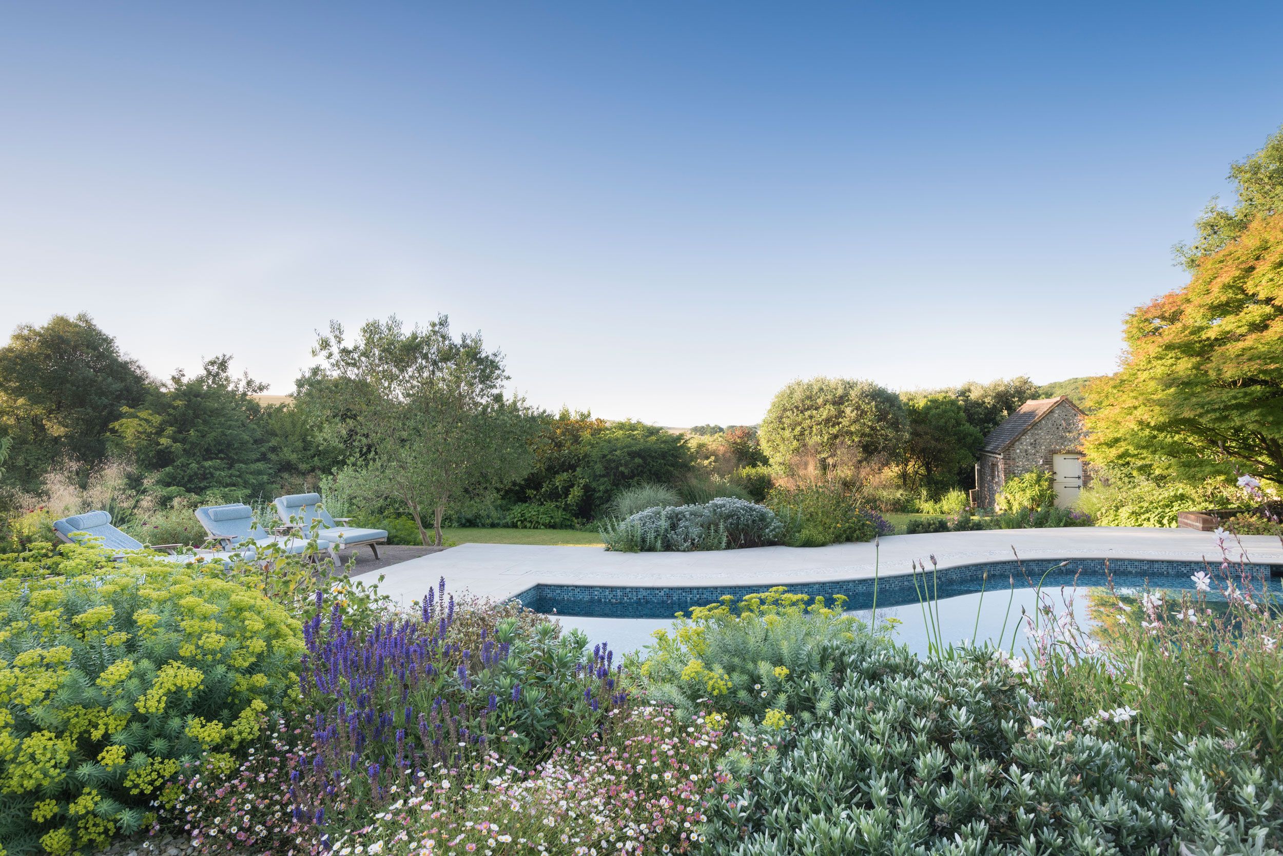 Image may contain: Garden, Nature, Outdoors, Scenery, Grass, Plant, Chair, Furniture, Park, Backyard, Yard, and Vegetation