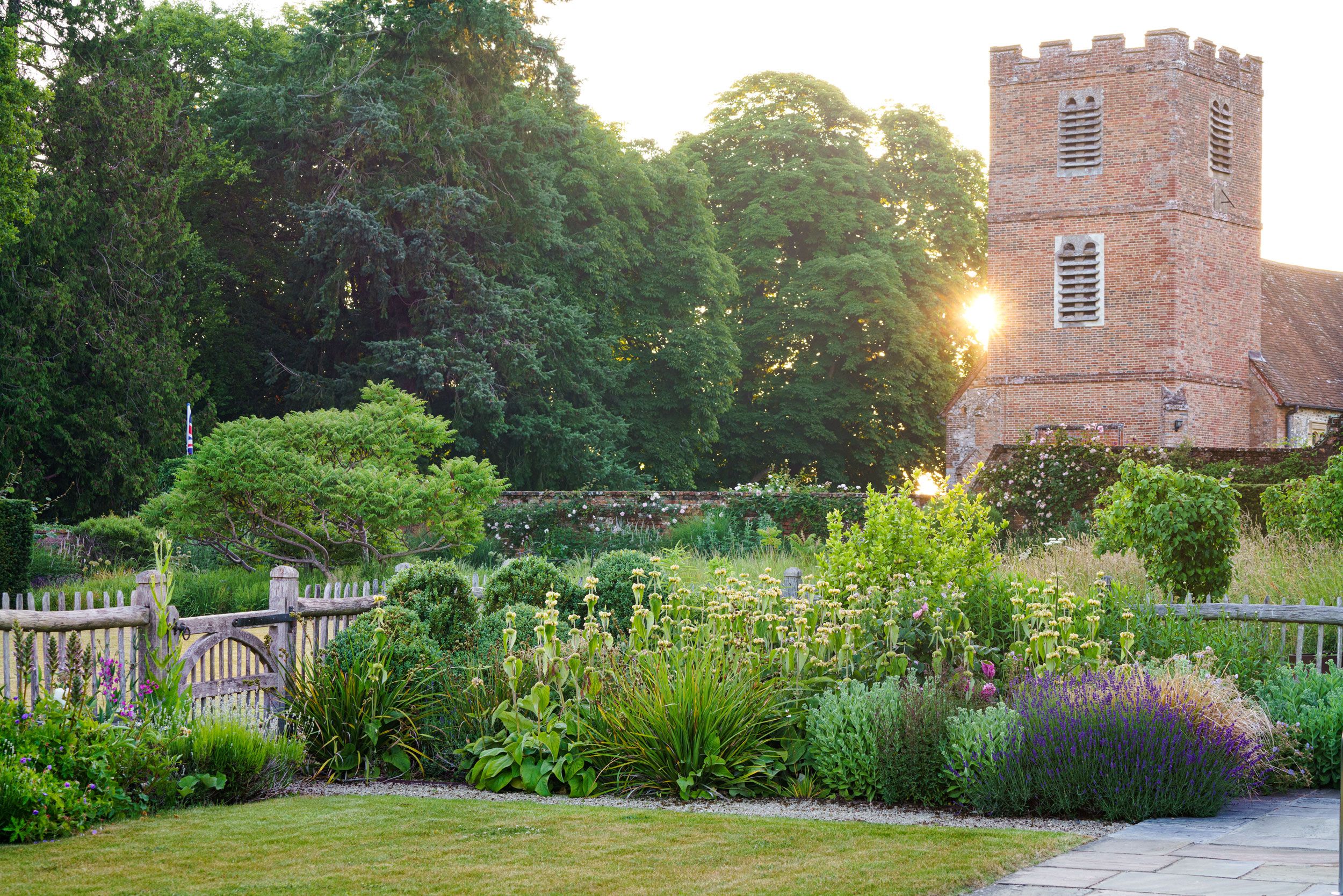 Image may contain: Garden, Nature, Outdoors, Grass, Plant, Backyard, Yard, Park, Vegetation, Herbal, Herbs, and Tree