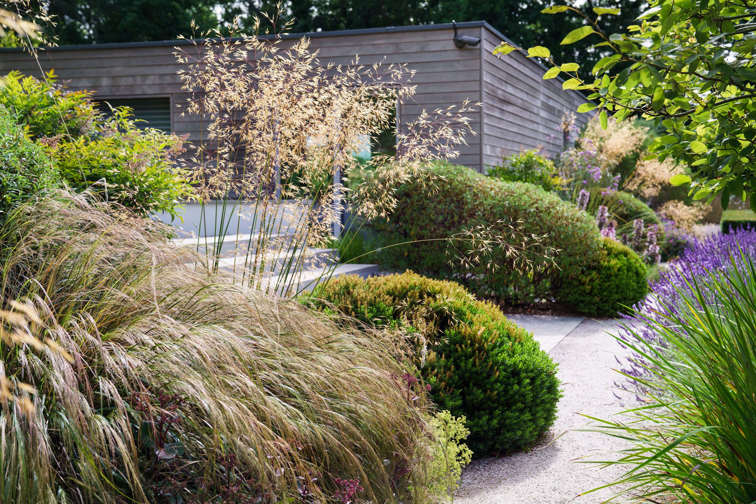 Image may contain: Plant, Vegetation, Backyard, Nature, Outdoors, Yard, Grass, Garden, Herbal, Herbs, Land, and Tree