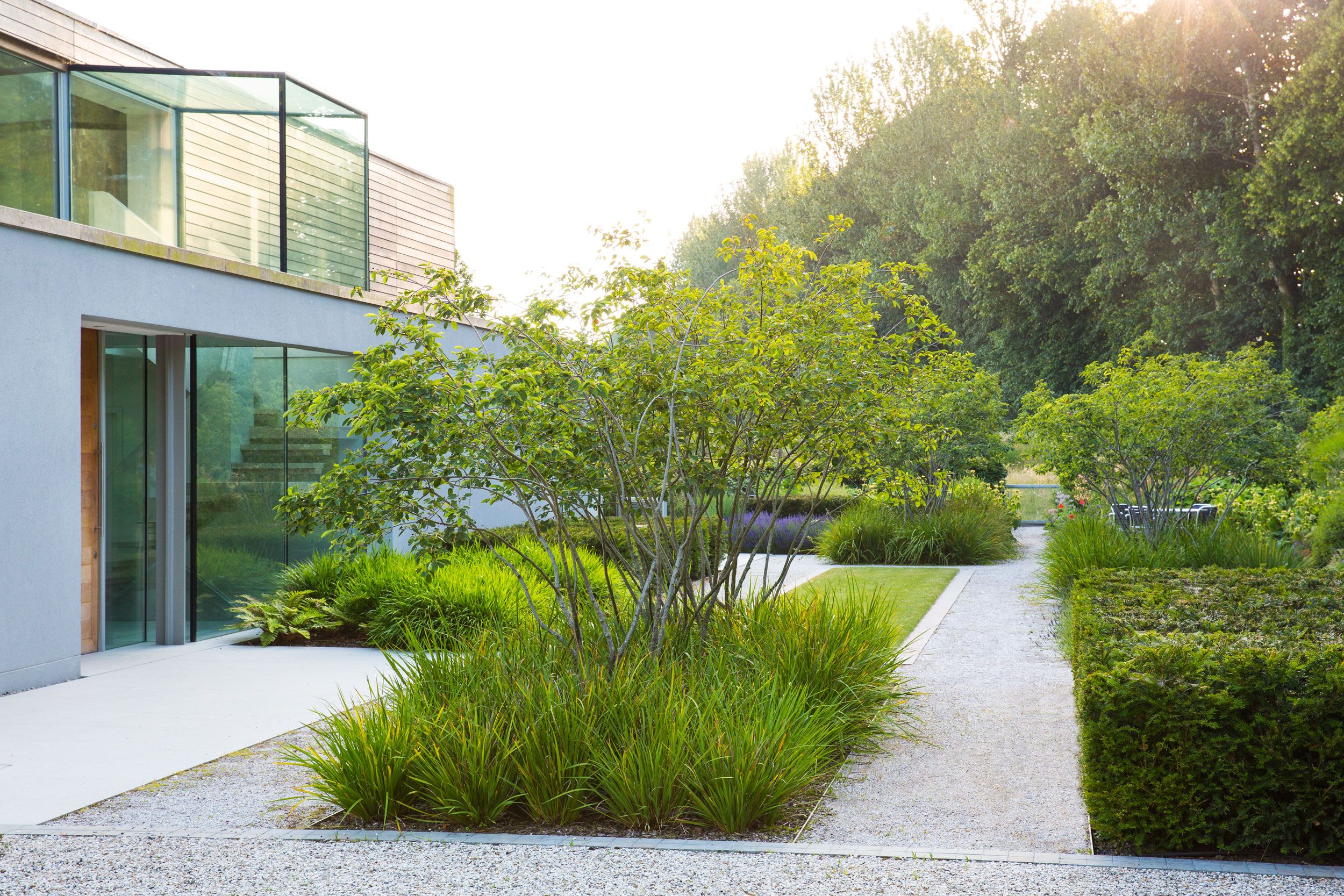 Image may contain: Grass, Plant, Vegetation, Garden, Nature, Outdoors, Backyard, Yard, Indoors, and Interior Design