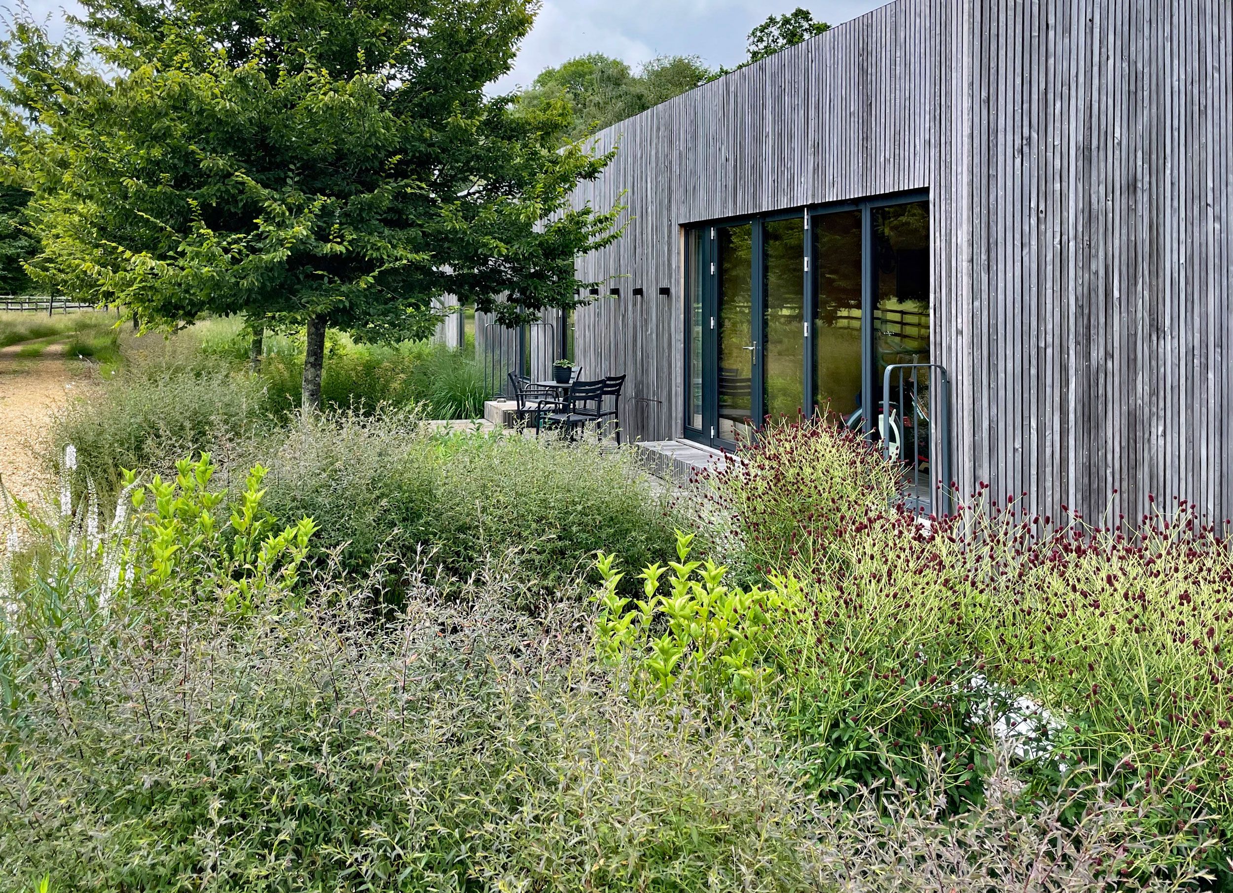 Image may contain: Indoors, Interior Design, Backyard, Nature, Outdoors, Yard, Plant, Vegetation, Grass, Herbal, and Herbs