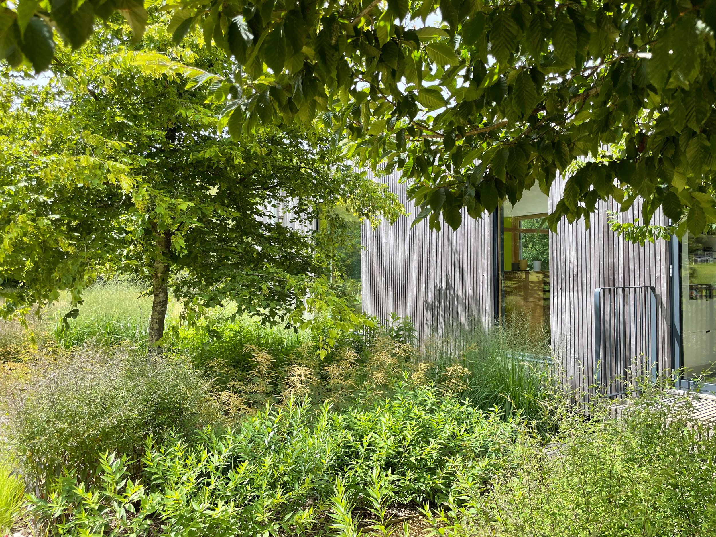 Image may contain: Indoors, Interior Design, Plant, Vegetation, Herbal, Herbs, Backyard, Nature, Outdoors, Yard, and Garden