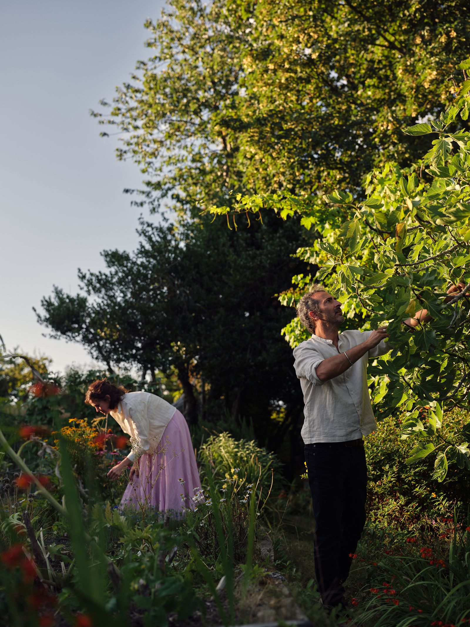 Image may contain Marc Jacobs Garden Nature Outdoors Plant Vegetation Clothing Dress Herbal Herbs and Tree