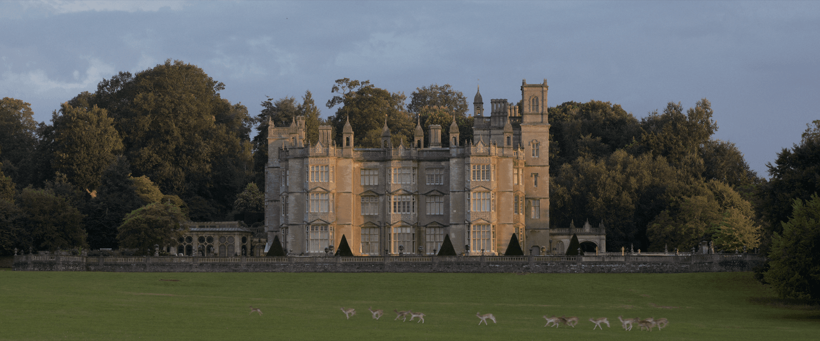 Image may contain Architecture Building Housing House Manor Animal and Bird