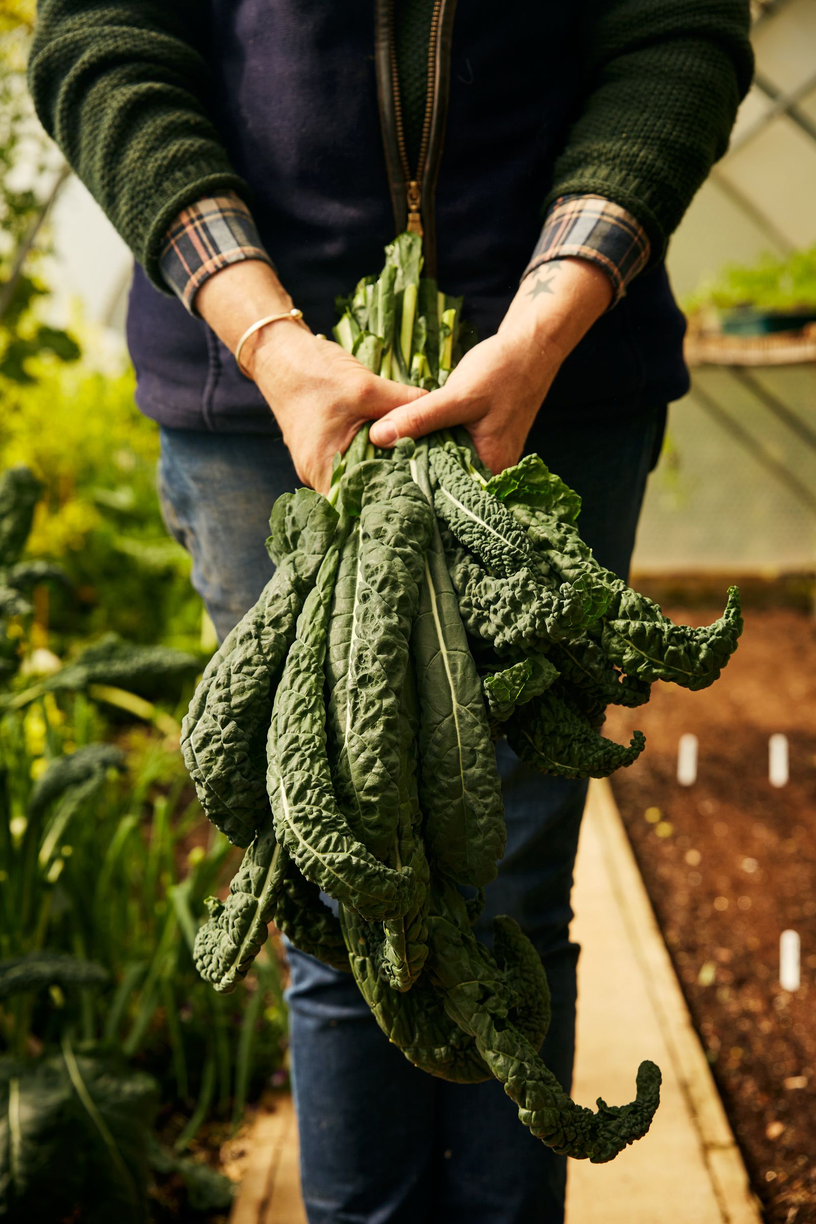 Image may contain Accessories Bracelet Jewelry Person Food Leafy Green Vegetable Plant Produce and Vegetable