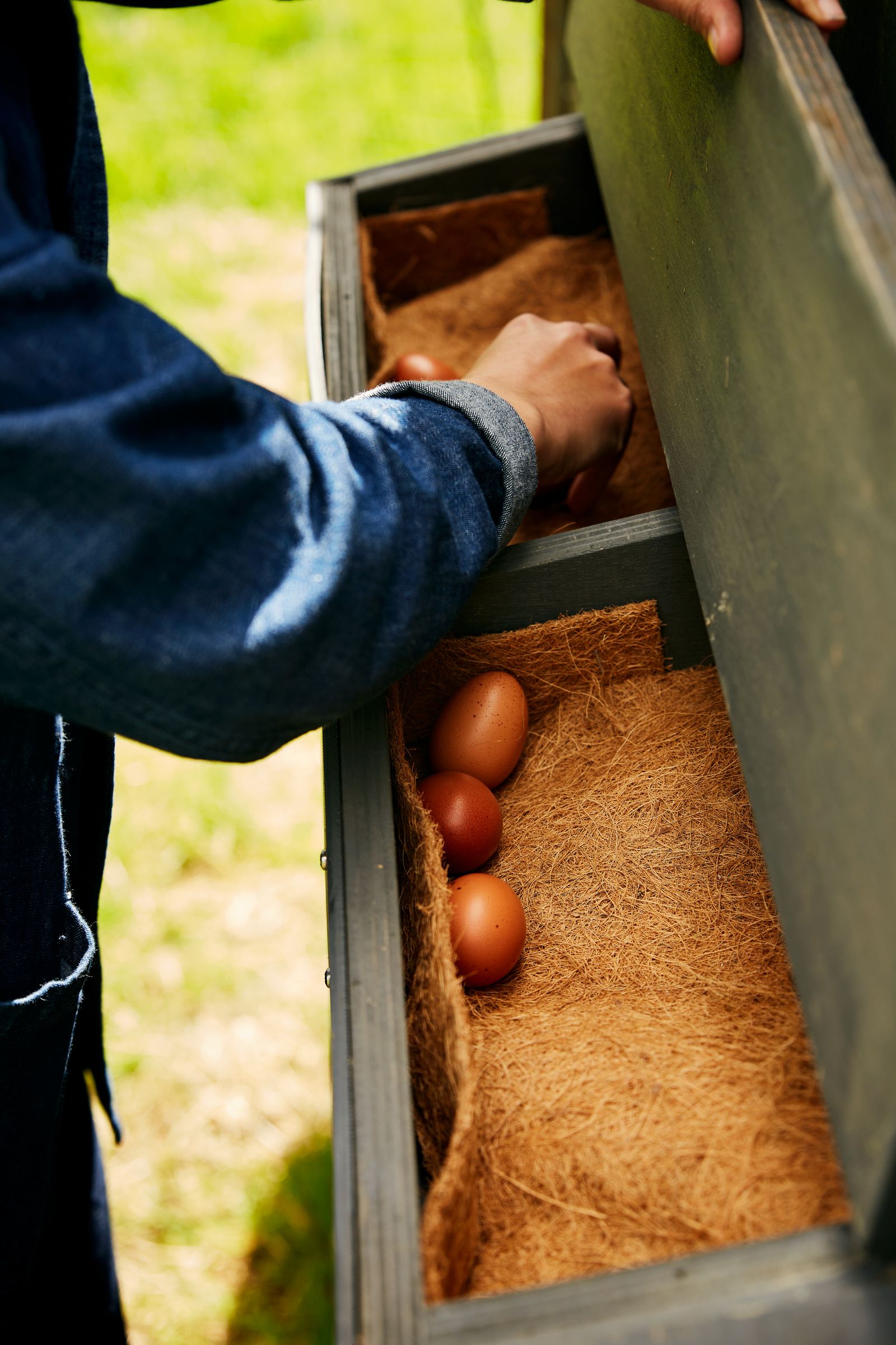 Image may contain Drawer Furniture Person Egg Food Outdoors Wood and Box