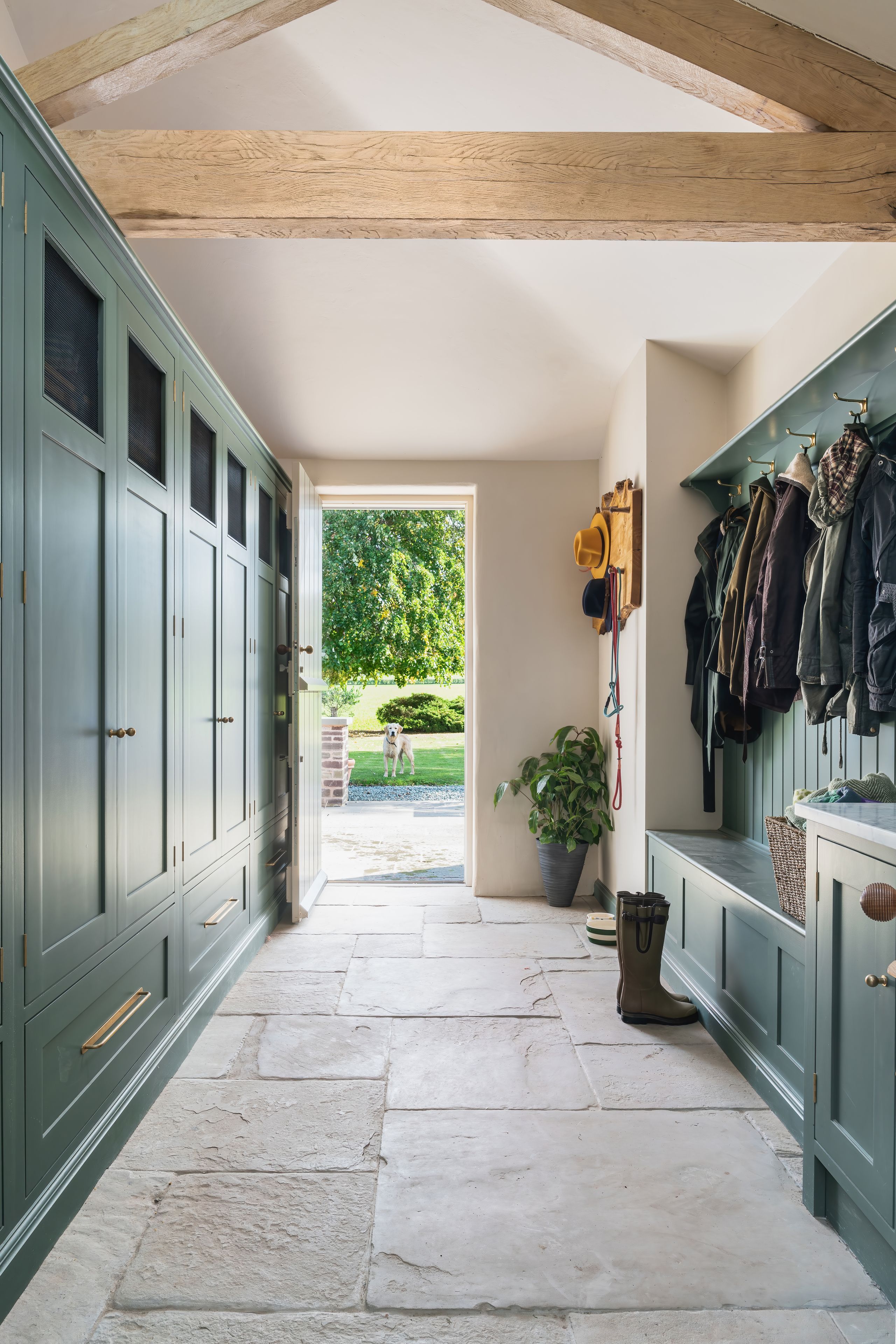 Image may contain: Floor, Plant, Flooring, Indoors, Interior Design, Clothing, Footwear, Shoe, Animal, Canine, and Dog