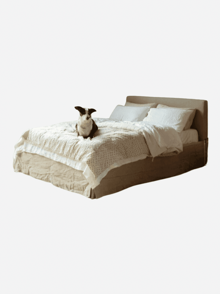 Image may contain: Bed, Furniture, Cushion, Home Decor, Animal, Canine, Dog, Mammal, and Pet