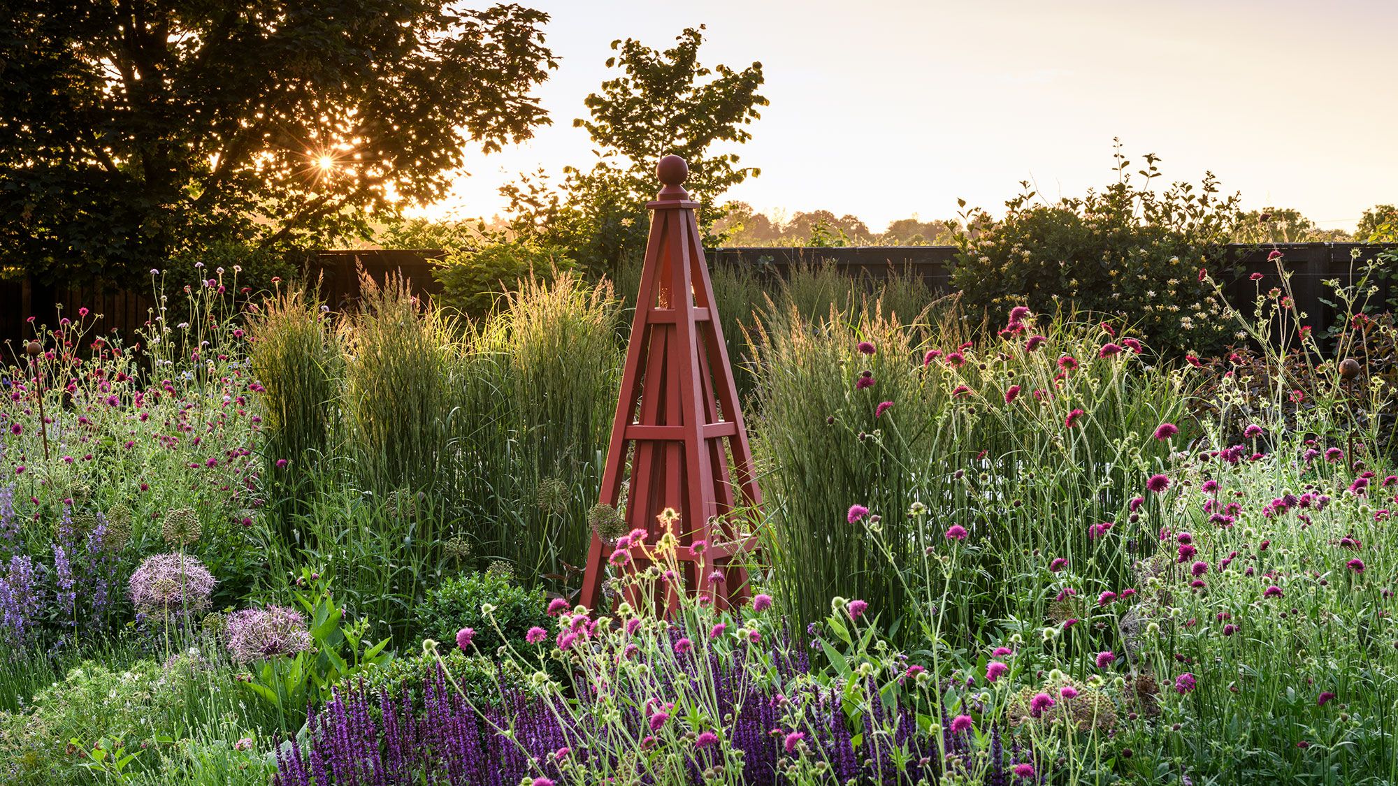 Image may contain: Garden, Nature, Outdoors, Herbal, Herbs, Plant, Vegetation, Field, Grassland, Grass, Yard, and Backyard