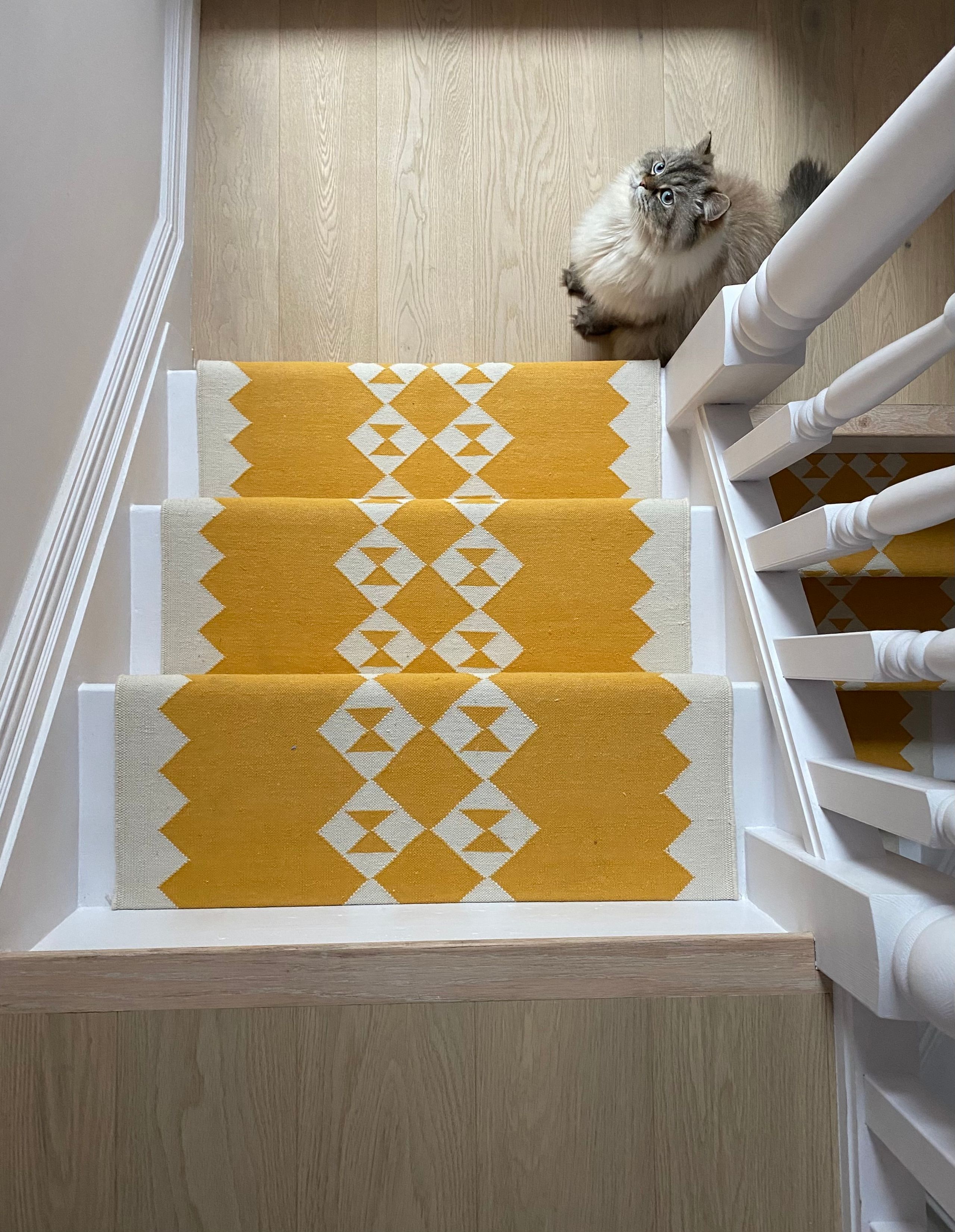 Image may contain: Home Decor, Architecture, Building, House, Housing, Staircase, Rug, Animal, Cat, Mammal, and Pet