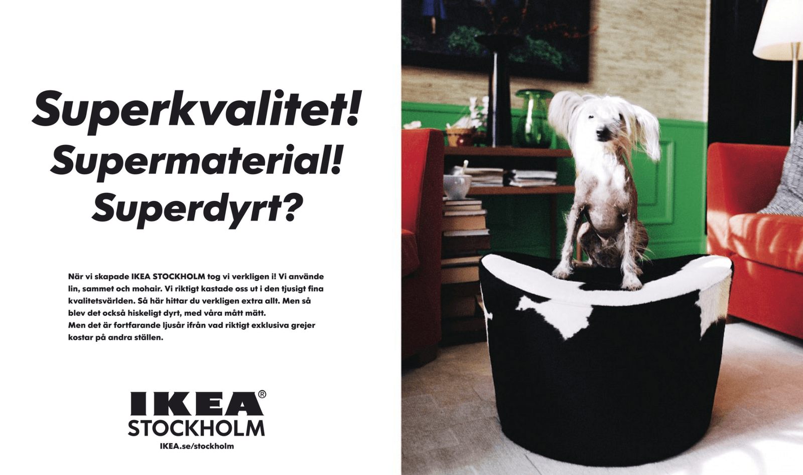 What our editors are obsessing over for their houses this month