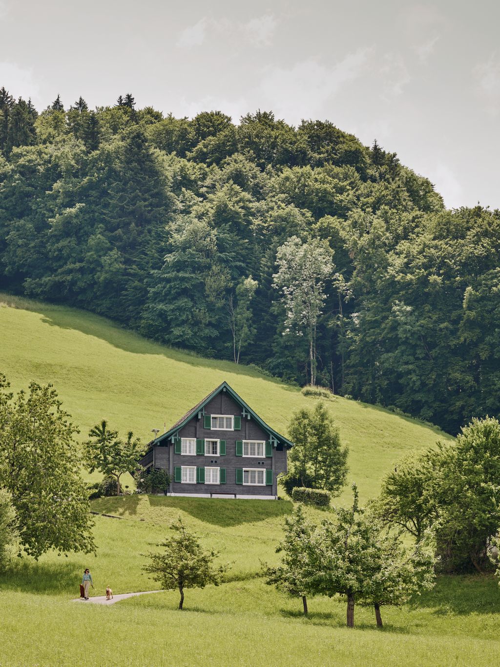 The timber farmhouse is built in the traditional local style with a steeply pitched roof and shutters painted in a dark...