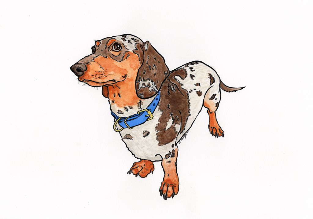 For more on pets Carly Wiggins trained in animation and was formerly Senior Print Designer at Stella McCartney. She...