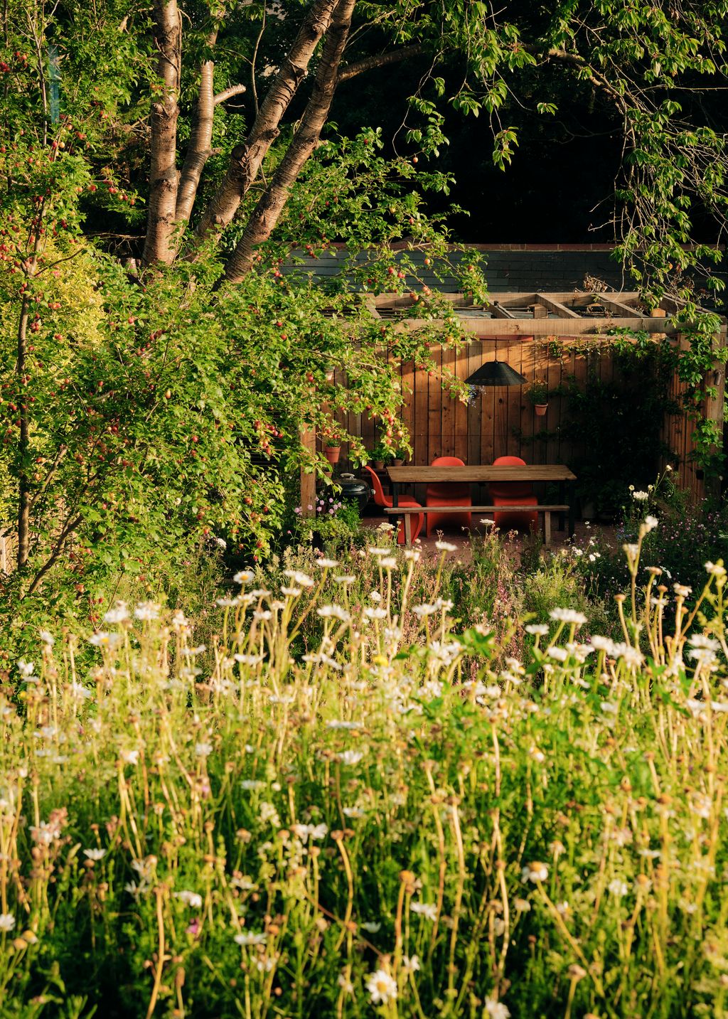 The view from the main bedroom looks down over the meadow roof to the garden below.