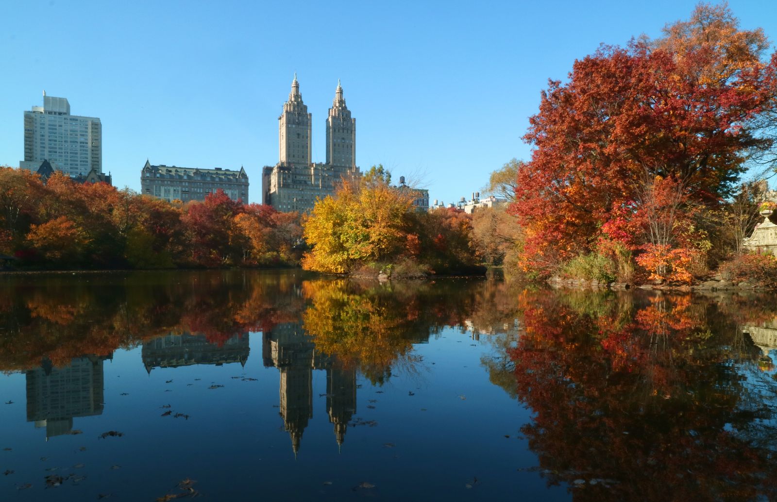 Image may contain Nature Water Outdoors Scenery Tree Plant Land Spire Architecture Tower Steeple and Building