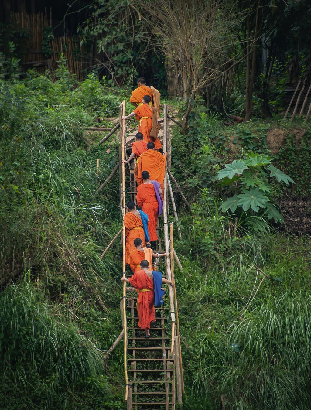 Monks climb a steep riverbank via wooden steps.