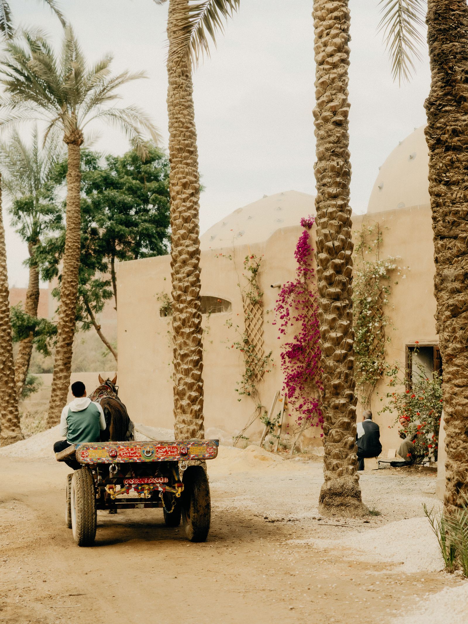 The museum holding the permanent collection has recently reopened after renovation.