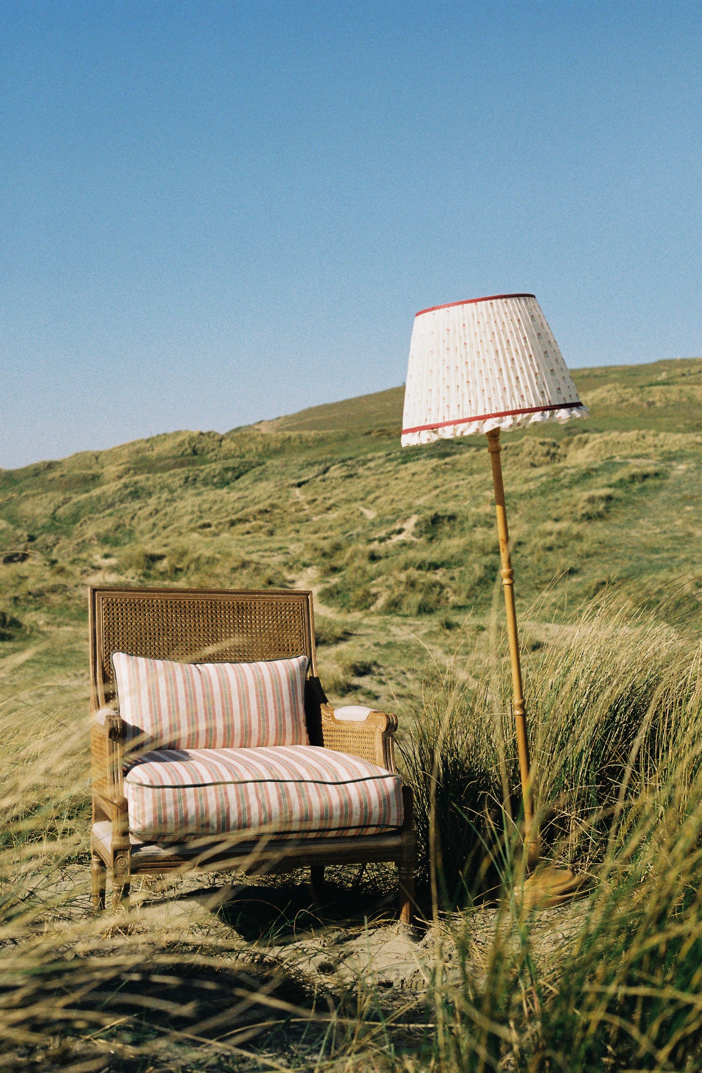 Image may contain: Lamp, Furniture, Chair, Armchair, Grass, and Plant