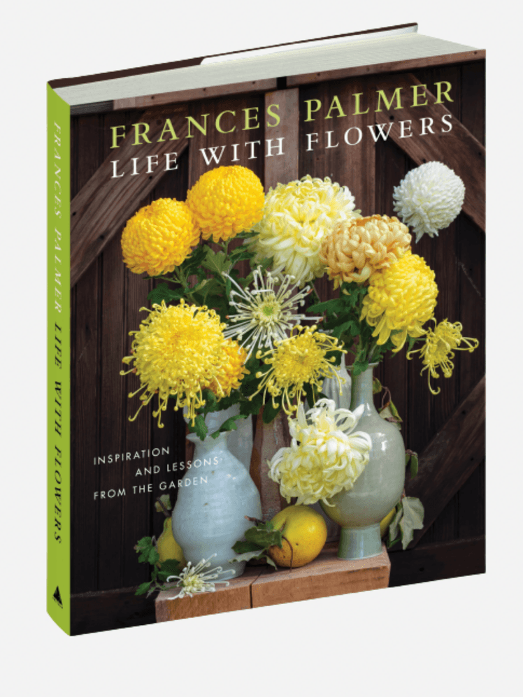 Image may contain Flower Flower Arrangement Plant Flower Bouquet Dahlia Jar and Pottery