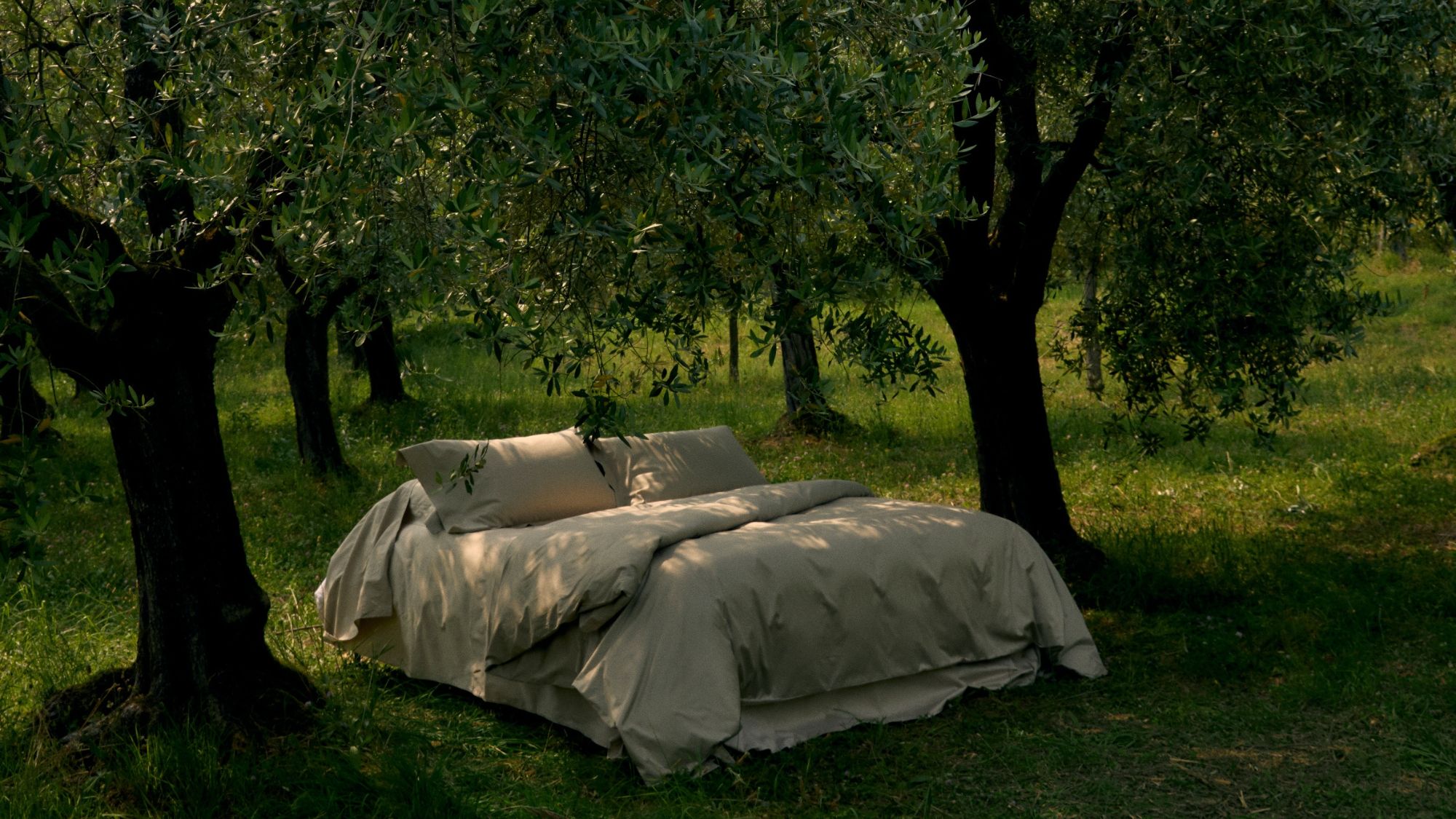 Image may contain: Furniture, Grass, Plant, Vegetation, Bed, Tree, Bed Sheet, and Blanket
