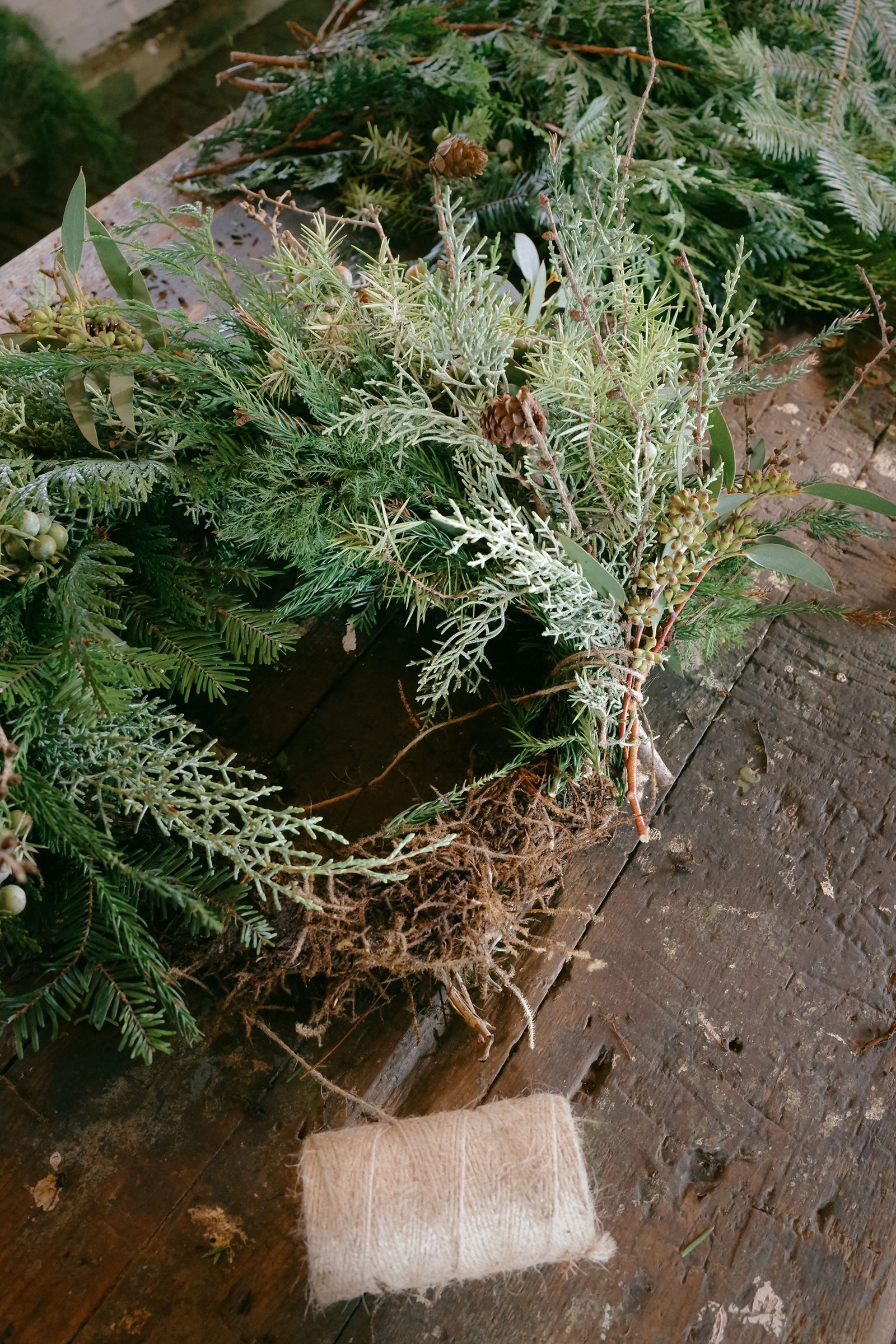 Image may contain Plant Vegetation Herbal and Herbs