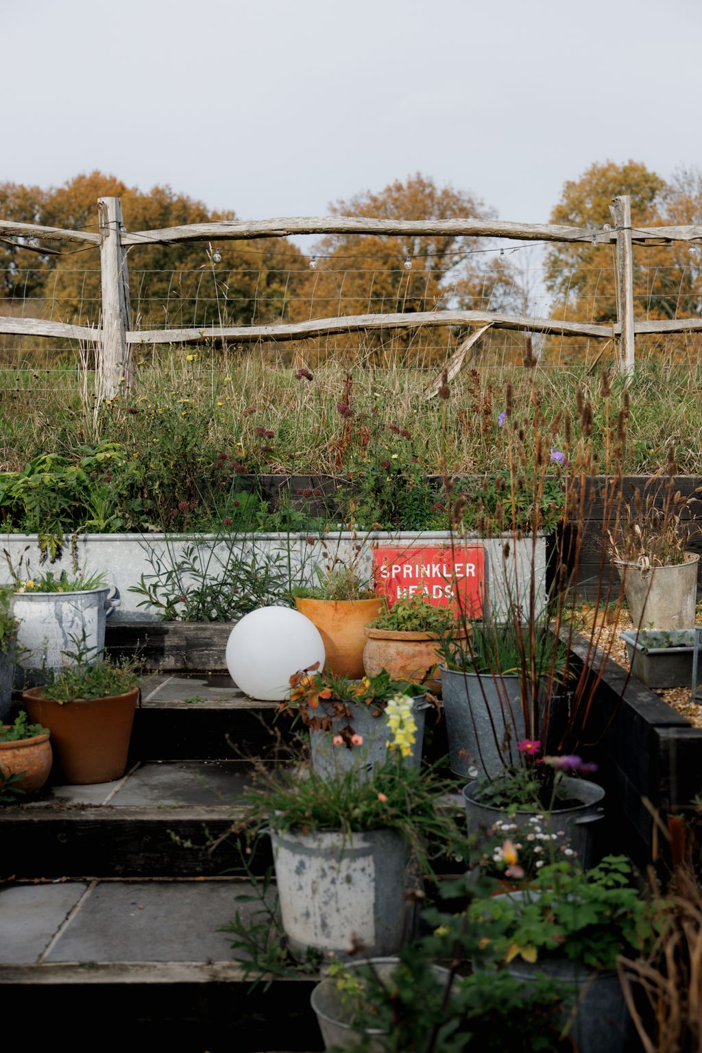 Image may contain Plant Potted Plant Jar Planter Pottery Vase Garden Nature Outdoors Backyard Yard and Indoors