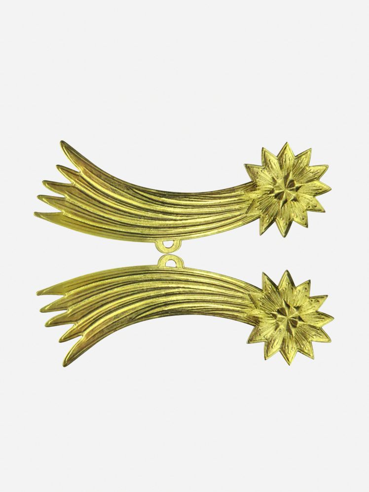 Image may contain: Accessories, Hair Slide, Jewelry, Animal, and Bird