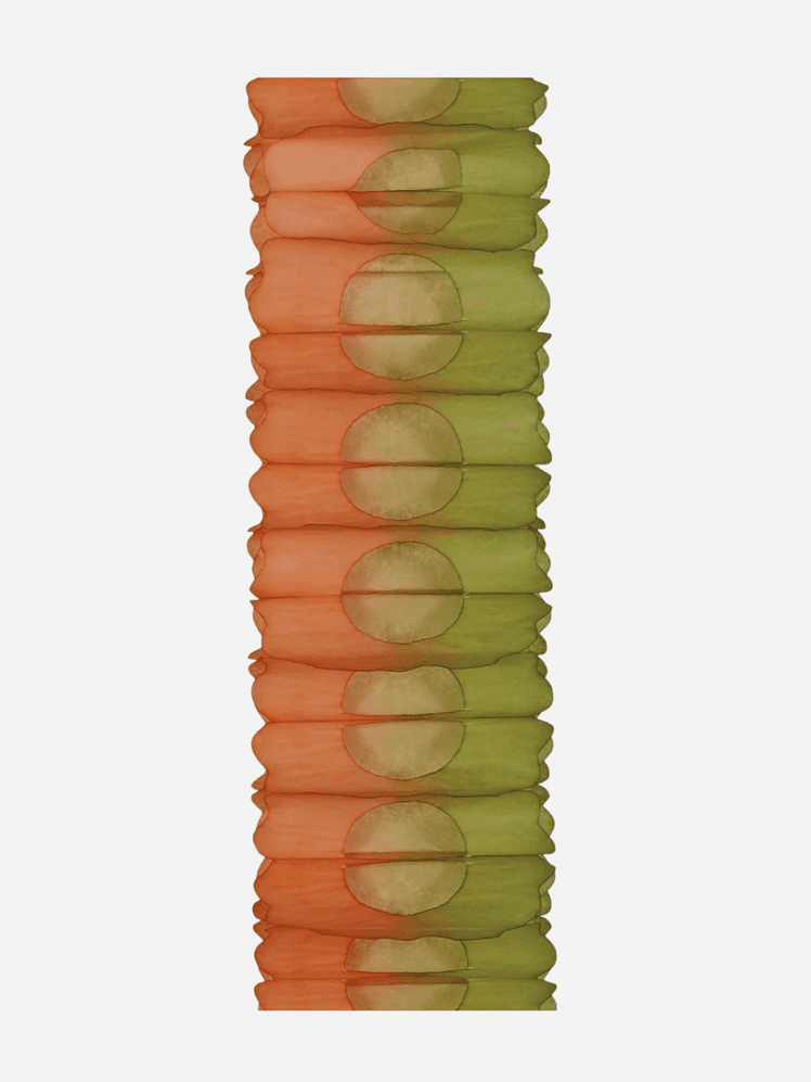 Image may contain: Blade, Cooking, Knife, Sliced, and Weapon