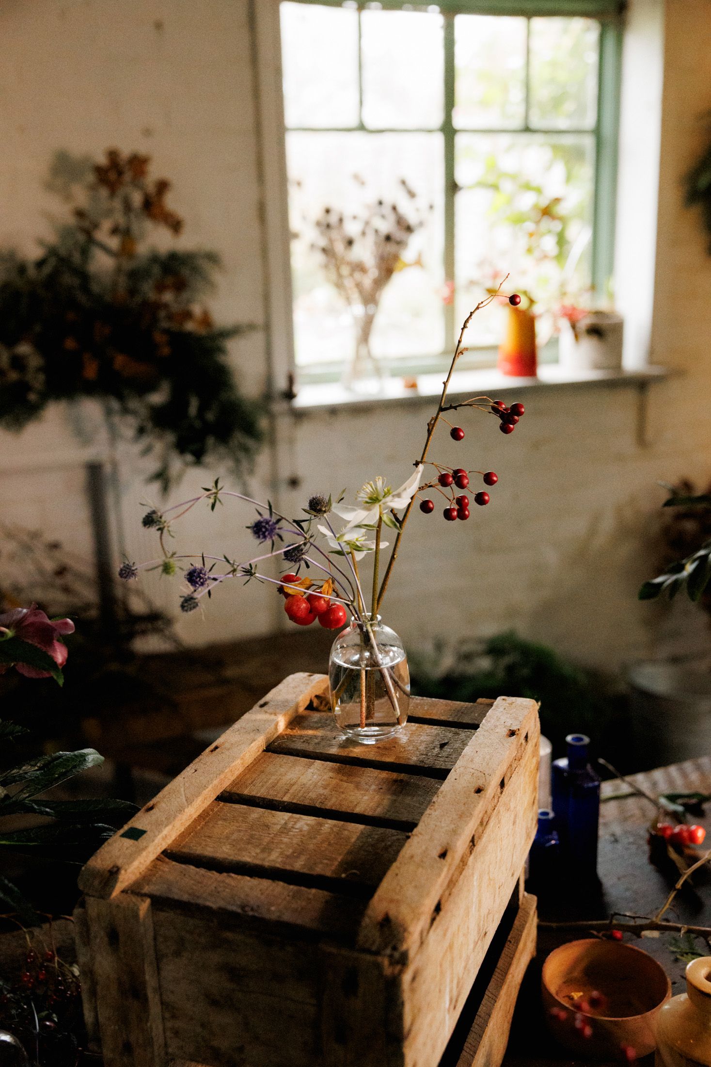 Image may contain Flower Flower Arrangement Plant and Window
