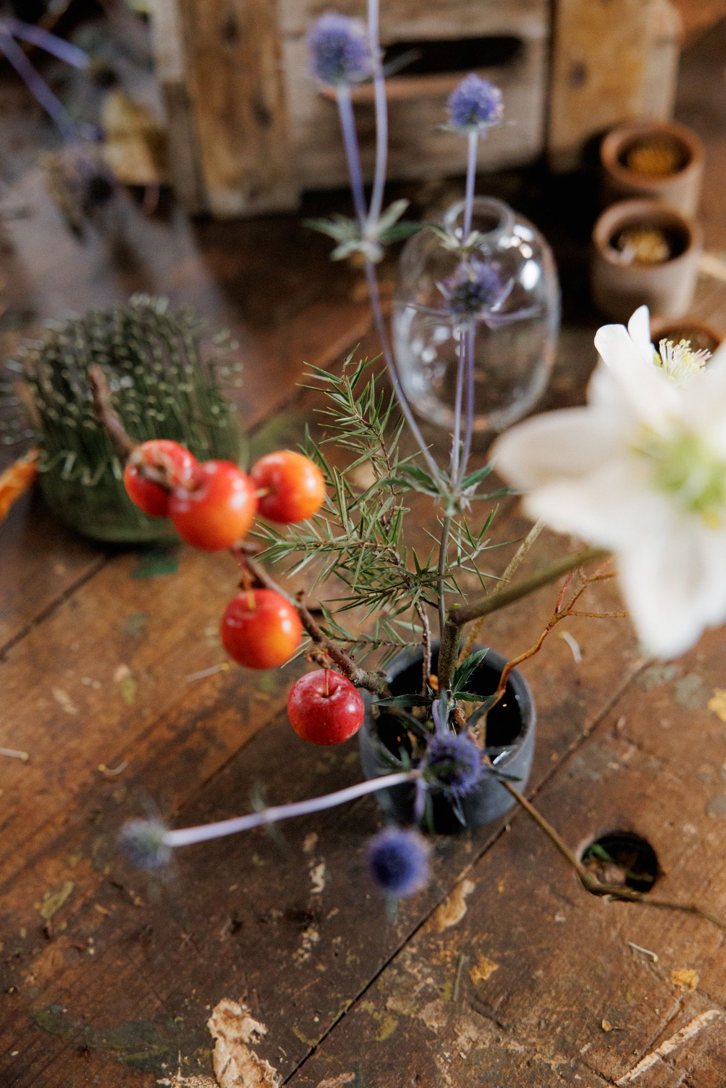 Image may contain Plant Potted Plant Flower Flower Arrangement Ikebana Anemone Food Fruit Produce Apple and Jar