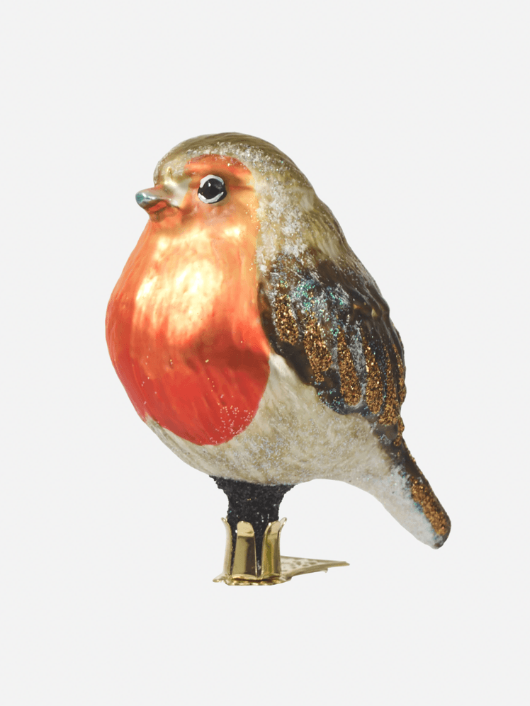 Image may contain Animal Bird Finch and Beak