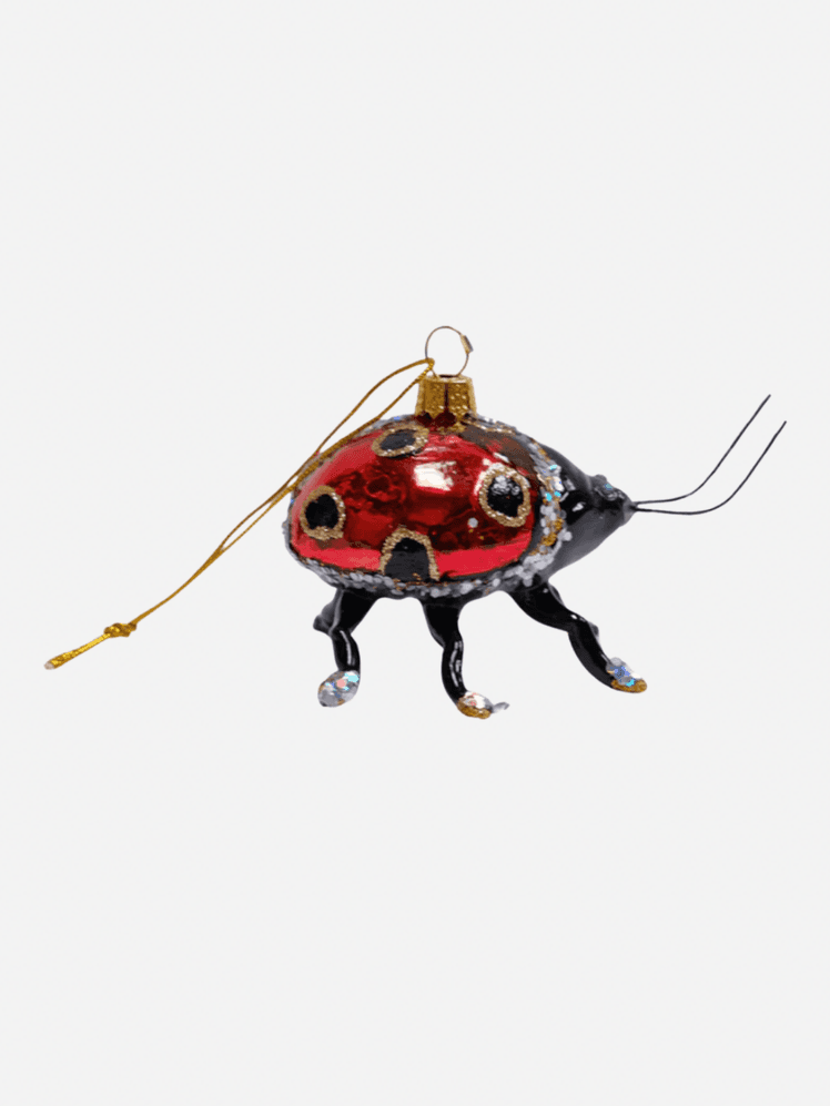 Image may contain Accessories Animal Insect and Invertebrate