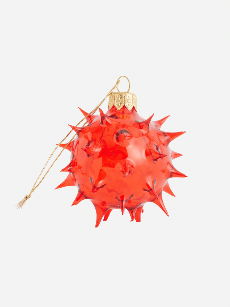 Image may contain Leaf Plant and Accessories