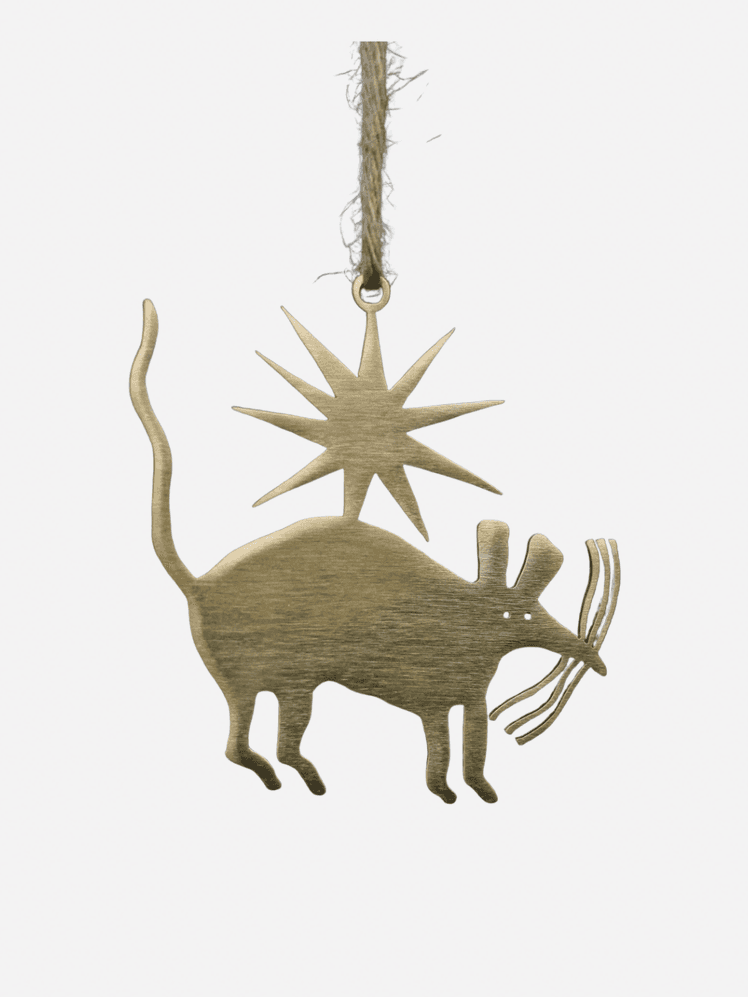 Image may contain Antler Animal Deer Mammal Wildlife Elk and Pig