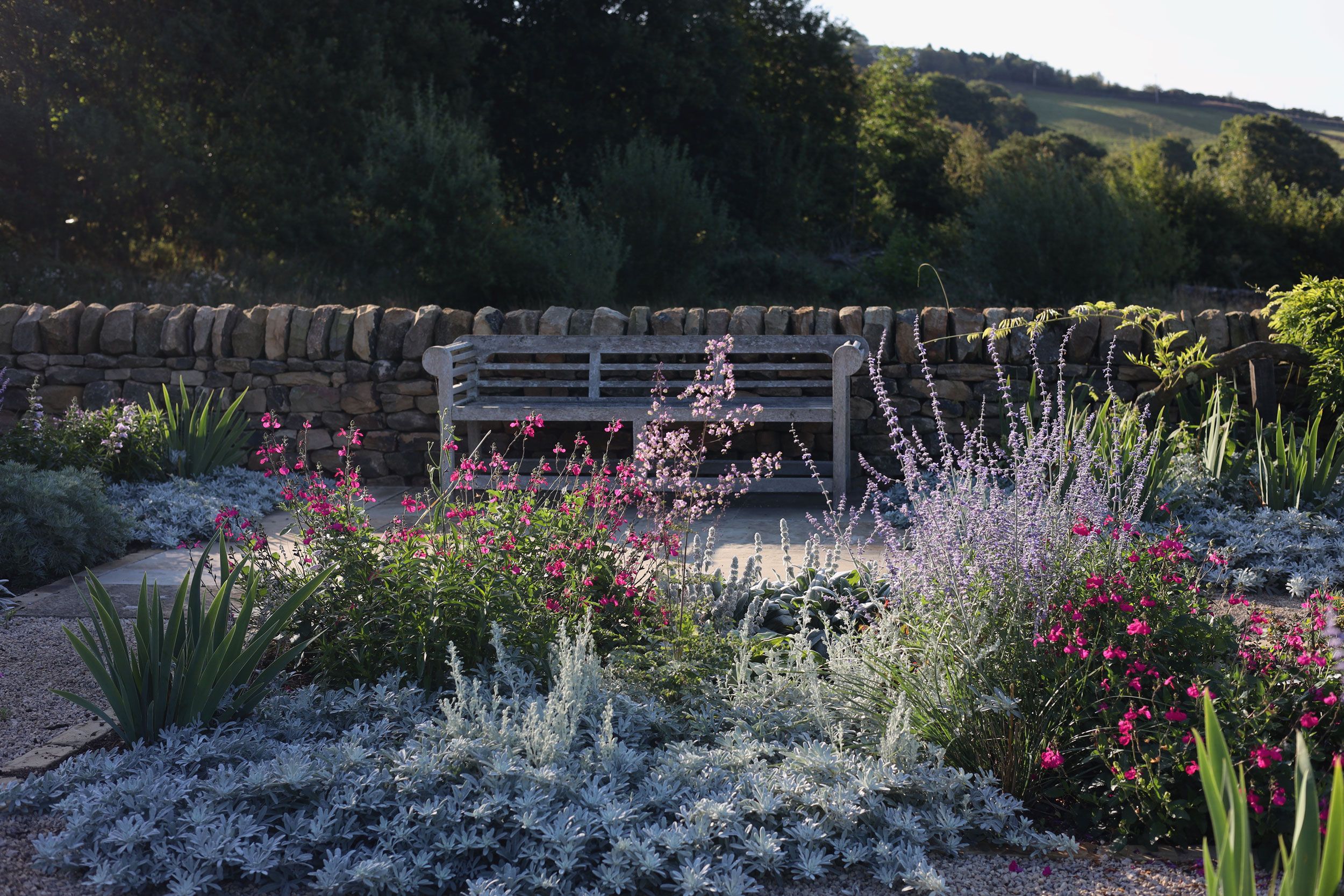 Image may contain: Herbal, Herbs, Plant, Vegetation, Grass, Garden, Nature, Outdoors, Bench, Furniture, Park, Land, and Tree