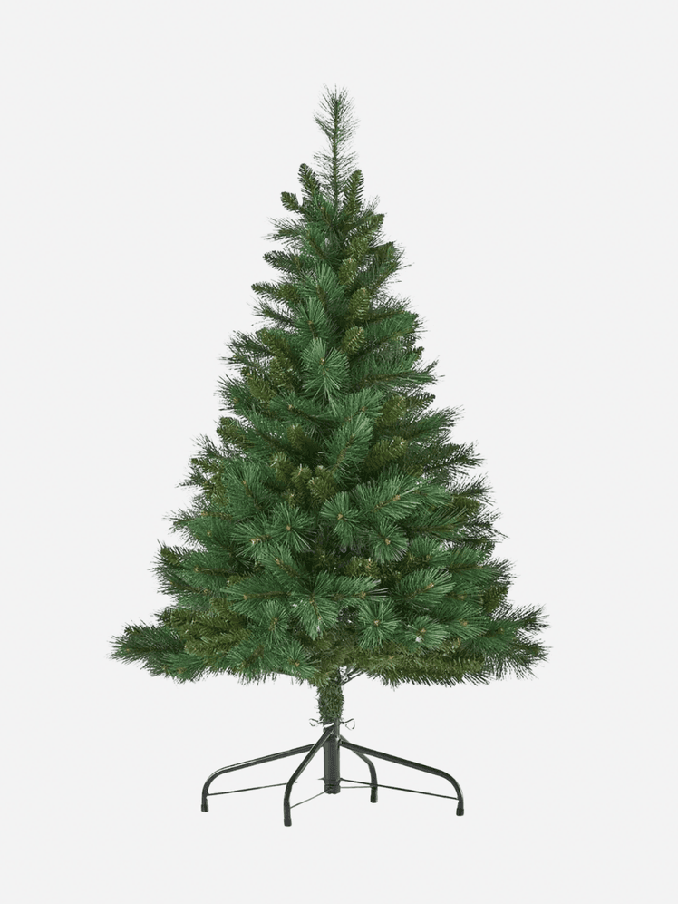 Image may contain: Plant, Tree, Pine, Fir, Christmas, Christmas Decorations, and Festival